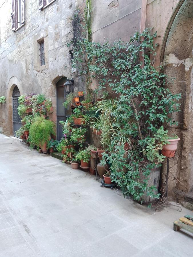 La Casa Di Sally ปีติญาโน ภายนอก รูปภาพ